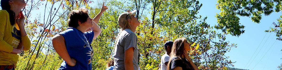 Photo of students and faculty exploring local wetlands